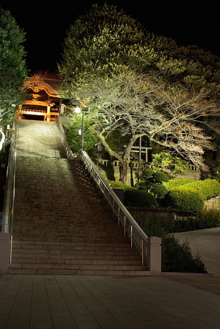 栃木県の初詣スポット 露天風呂と大浴場のある旅 厳選情報