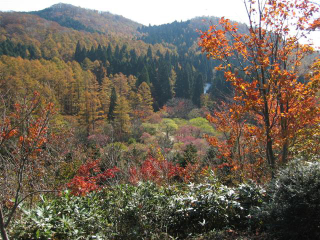 岡山県の紅葉 名所と見頃 露天風呂と大浴場のある旅 厳選情報